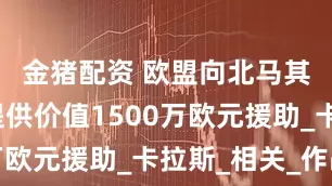 金猪配资 欧盟向北马其顿军队提供价值1500万欧元援助_卡拉斯_相关_作战