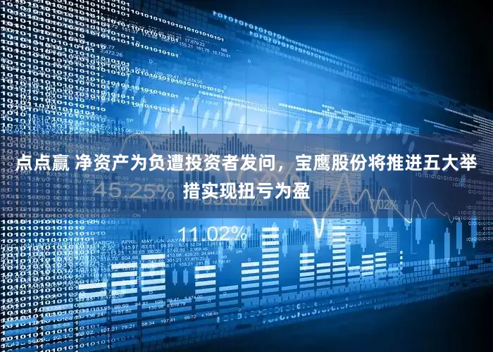 点点赢 净资产为负遭投资者发问，宝鹰股份将推进五大举措实现扭亏为盈