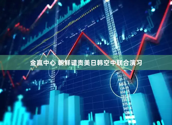 金赢中心 朝鲜谴责美日韩空中联合演习